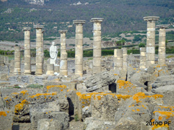 The Basilica