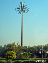Mobile phone mast disguised as a palm tree