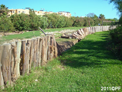 El muro eucalpto de Costa Jardin...